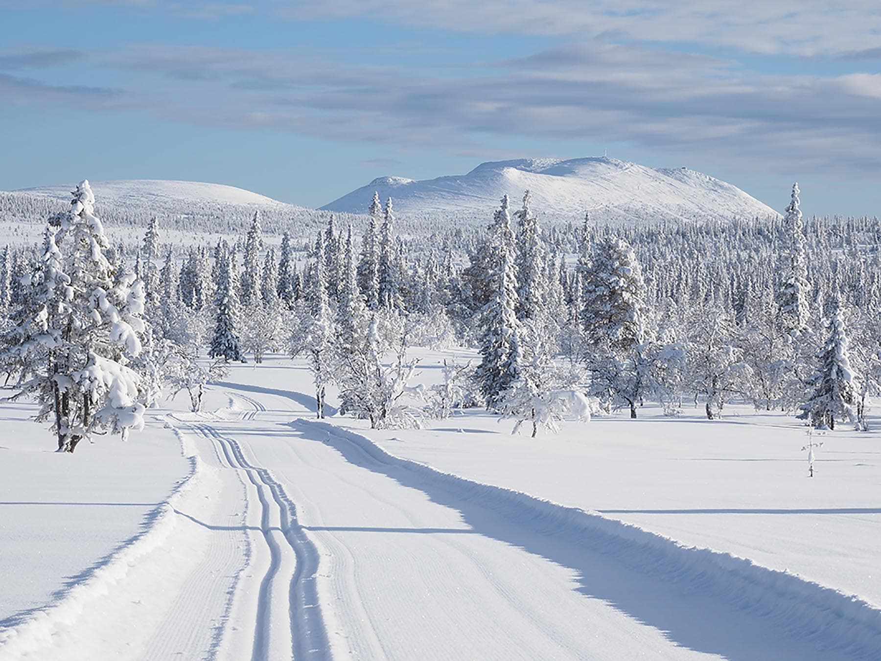 Hus till salu Härjedalen