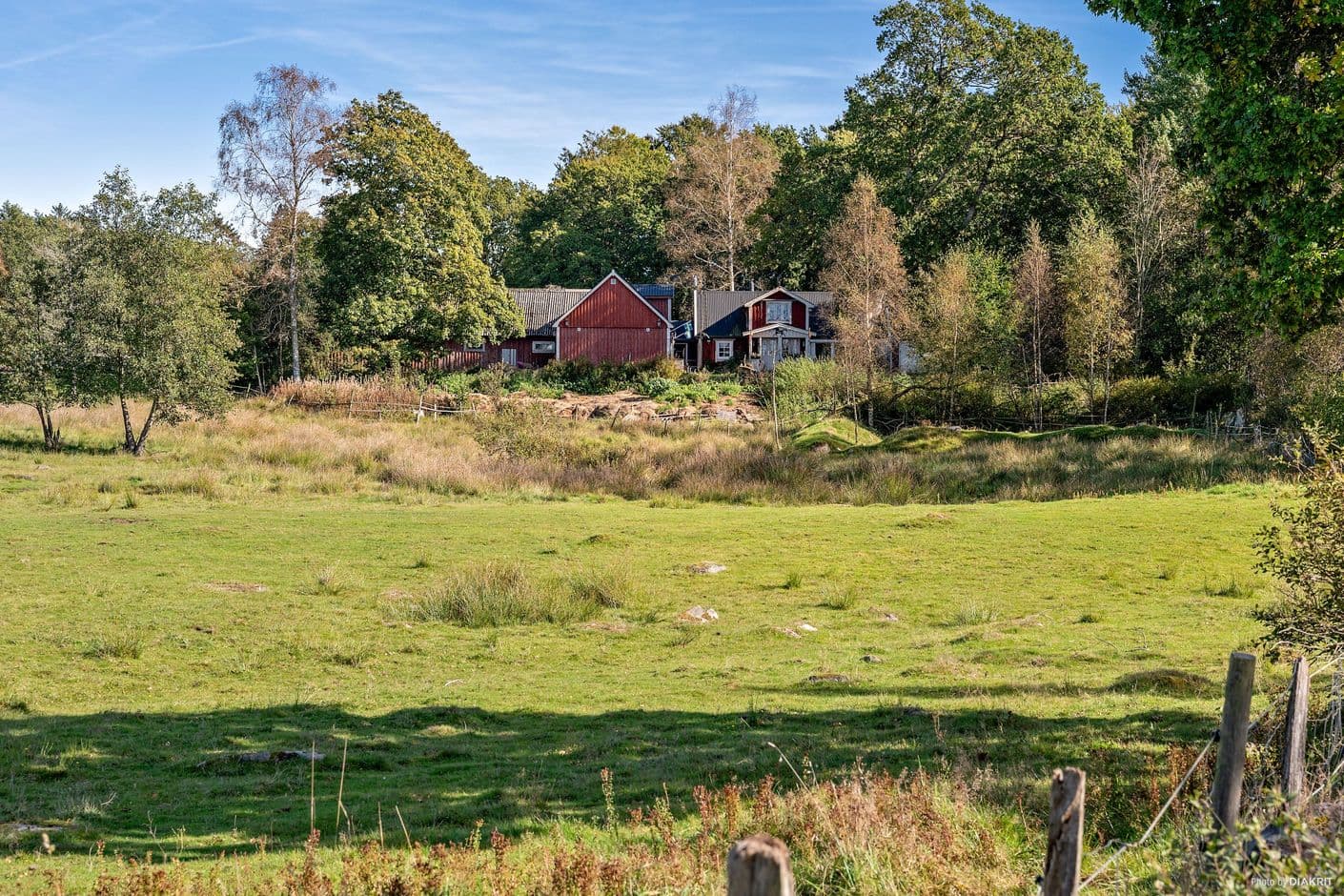 Skogen 1008 Skogen 1008